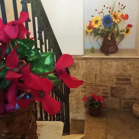 Il Ciclamino B&B 아스콜리피체노