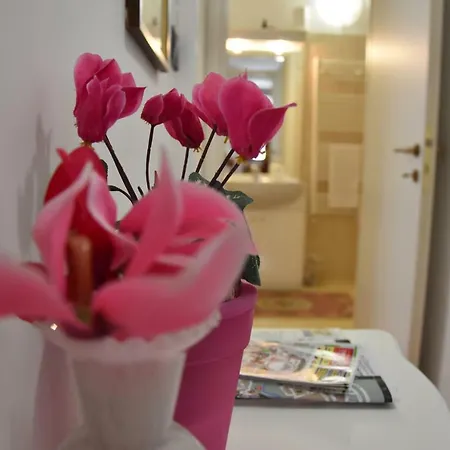 Il Ciclamino Ascoli Piceno